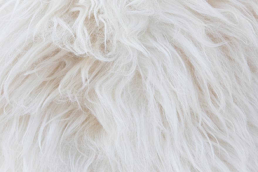 White Fur, Fleece, Fiber, Animal Fur, Background, Animal Coat, Fabric