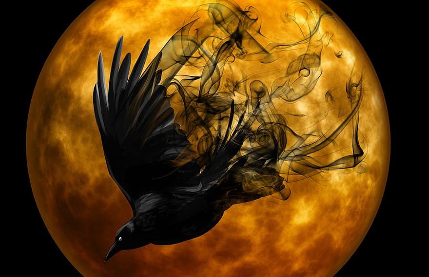 cuervo, noche, horripilante, oscuridad, místico, melancólico, luz de la luna, de miedo, estado animico, atmósfera, misterioso