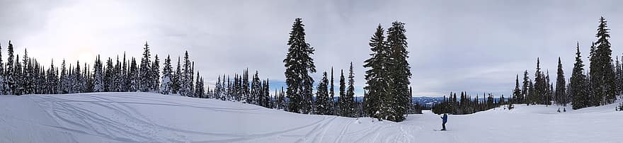 kayak, kayak yapma, dağlar, orman, kar, köknar ağaçları, gunes isigi, manzara, doğa, Kanada, kış