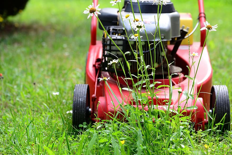 máy cắt cỏ, cắt cỏ, làm vườn, gấp rút, màu xanh lá, vườn, đồng cỏ, cỏ, cắt, Công nghệ, Thiên nhiên