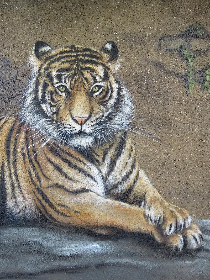 tigre, arte de parede, parede, jardim zoológico, Berlim, lichtenberg, Alemanha, animal, natureza, mundo animal, parque animal de berlim
