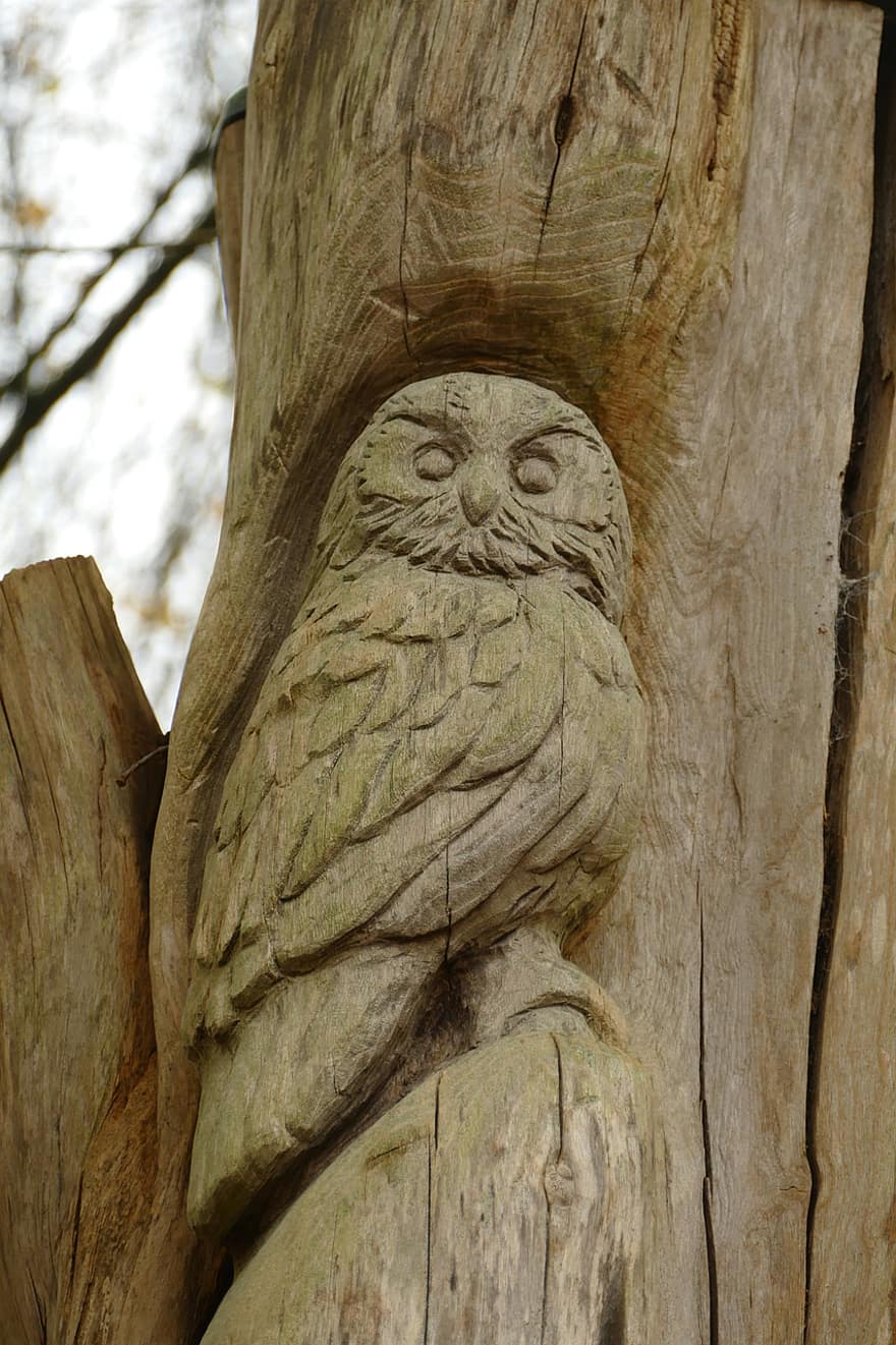 Owl, Bird, Show, Wisdom, Carvings, Wood, Manual Labour, Craft, Decoration, Fauna