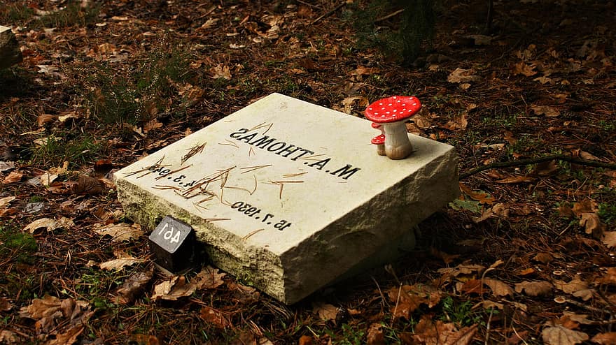 cimitero, pietra sepolcrale, pietra tombale, tombe di guerra, cimitero onorario, vittime di guerra, commemorazione, Loenen, Olanda