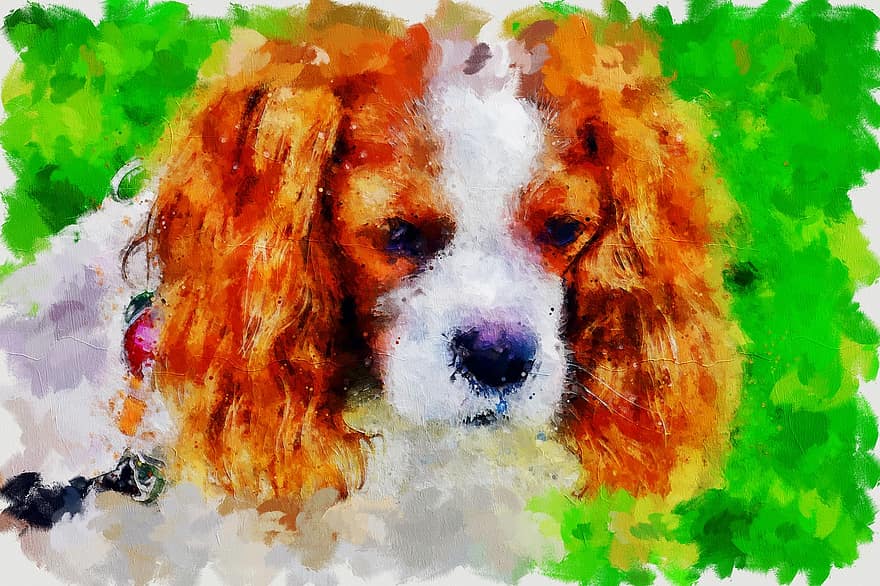 šuo, Tapyba, skaitmeninė tapyba, akvarelė, šuniukas, mielas, dizainas, tapyba, spalvinga, tapyti, meninis