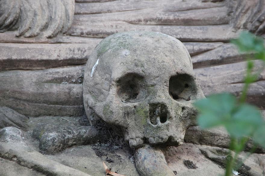 череп, череп и кръстосани кости, камък, паметник, костен