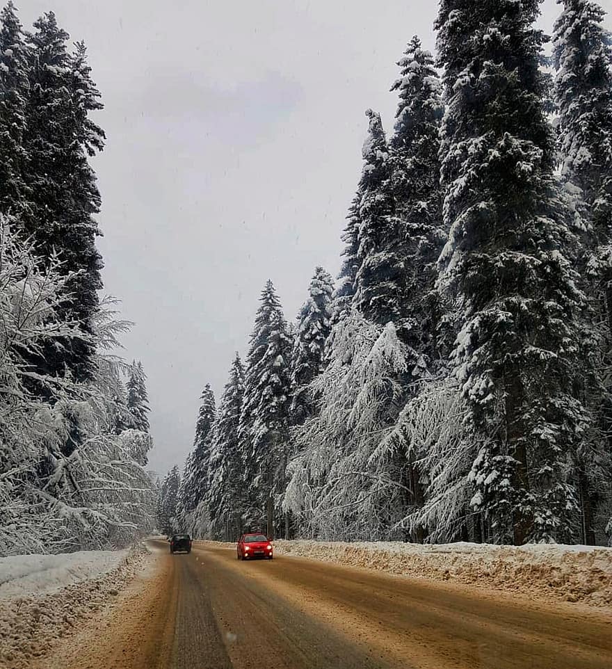 Droga, pojazdy, śnieg, drzewa, samochody, jezdnia, trasa, ścieżka, sosna, świerk, cedr
