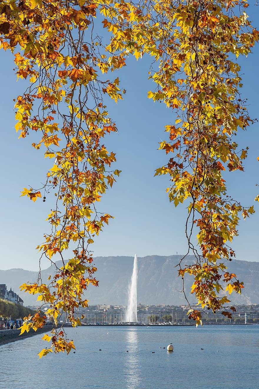 джет дьо, Женевска чешма, Женева, Швейцария, езеро женева, падане, есен, пейзаж, езеро