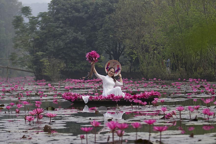 lotuses, flores, mulher, vestido branco, chapéu, flores cor de rosa, flores de lótus, almofadas de lírio, flor, Flor, pétalas