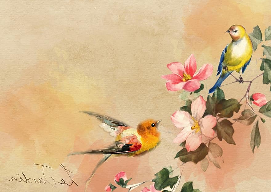 kuş, bağbozumu, çiçek, arka fon, doğa, hayvan, Aşk, Desen, tüy, romantik, dekoratif