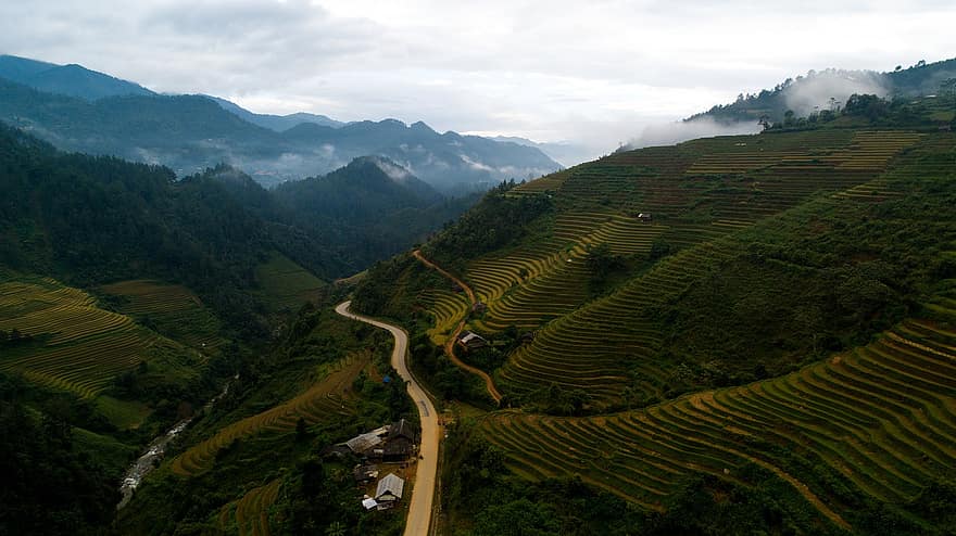 Terraces, Farm, Landscape, Rice, Paddy Field, Agriculture, Field, Plantation, Countryside, Rural, Valley