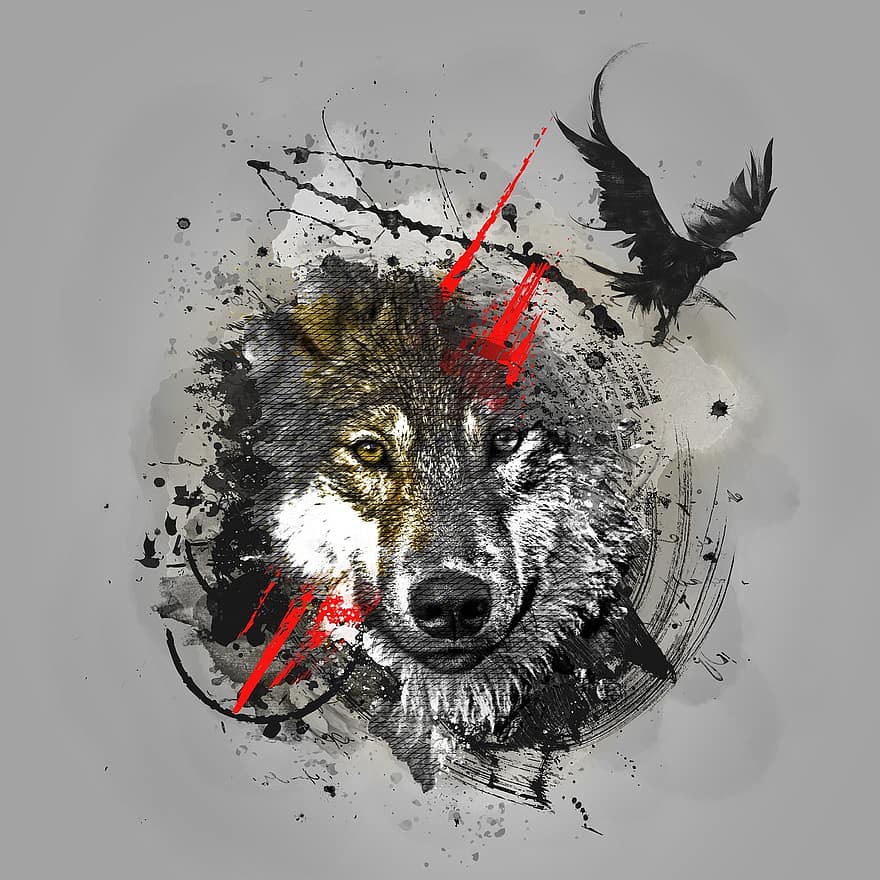lobo, animal, fauna silvestre, Canis lupus, Lobo gris, depredador, cazador, carnívoro, mamífero, desierto, retrato