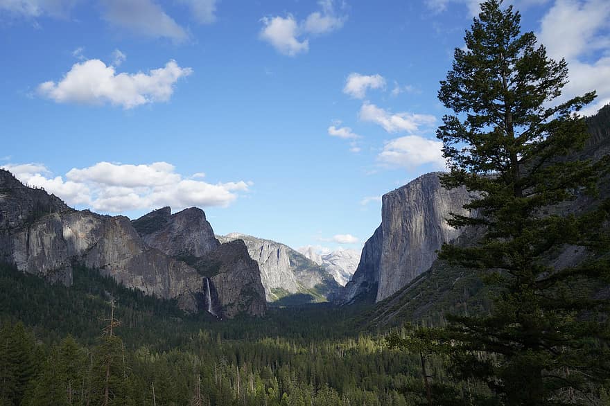 Yosemiten kansallispuisto, vuori, metsä, maisema, Kalifornia, kansallispuisto, luonto, vuorenhuippu, kesä, puu, sininen