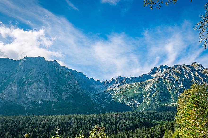 peisaj, munţi, natură, mediu rural, decor, pitoresc, de munte, vârf, copaci, frunziş, Tatras