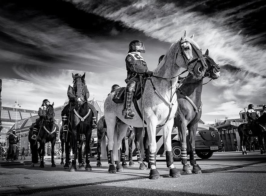 Politie, mannen, paarden, veiligheid, Amsterdam, museum, paard, paardrijden, zwart en wit, sport, jockey