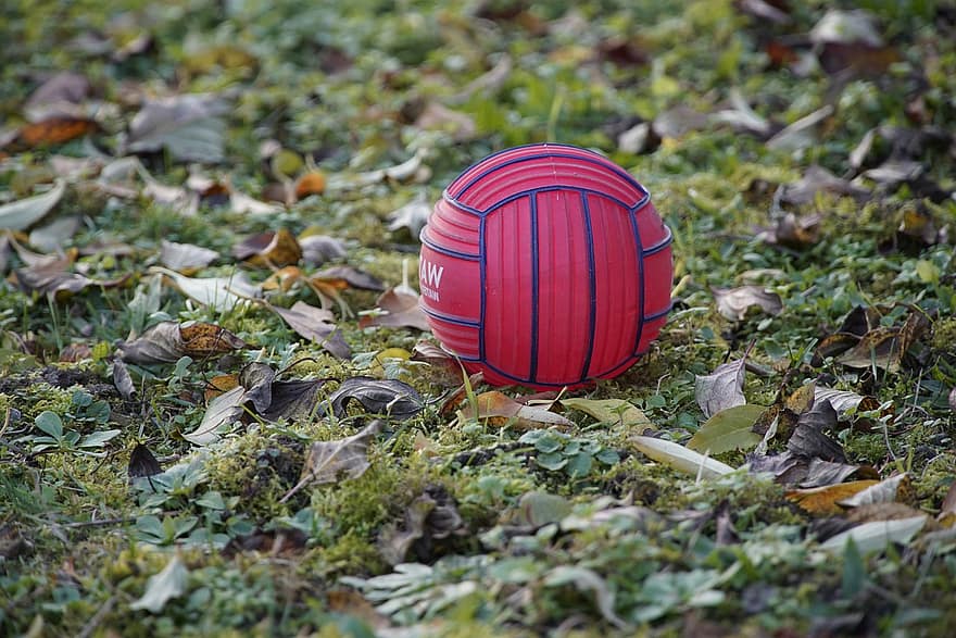 м'яч, дитячий майданчик, грати, іграшка, гра, опале листя, трави, осінь, сухого листя, листя, дитинство