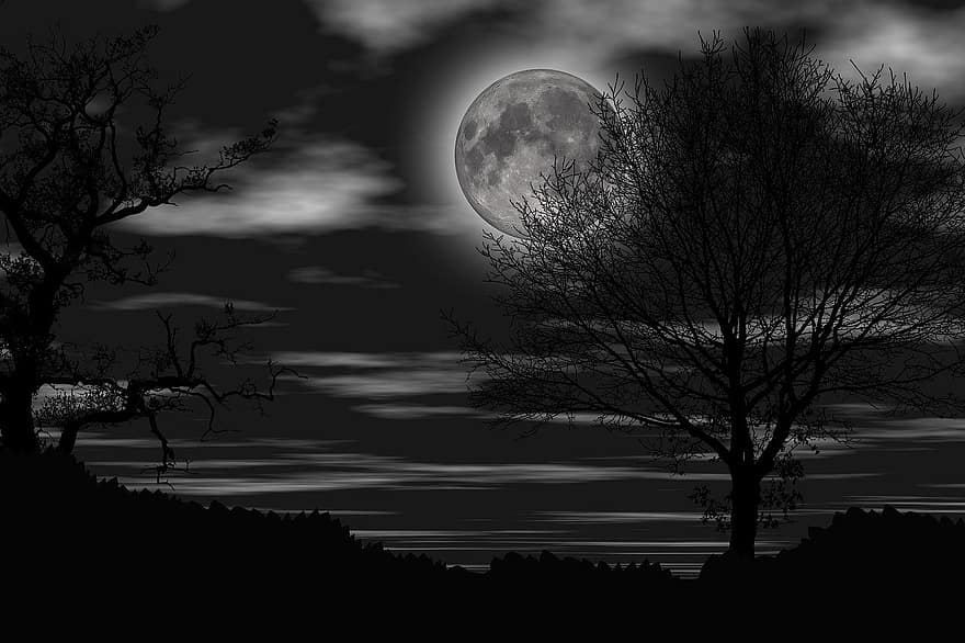 noche, oscuridad, el silencio, Luna llena, oscuro, silueta