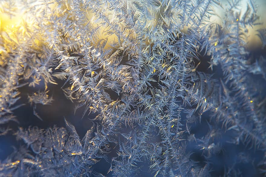 hivern, fred, superfície, gel, textura, gelades, finestra, fons, blau, primer pla, resum