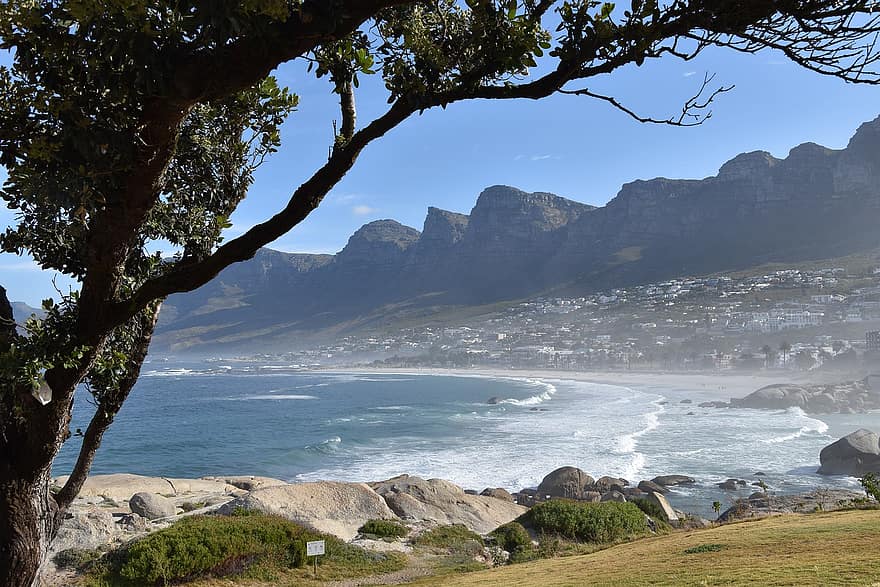 Strand, hav, kyst, kystlinje, strandlinjen, shore, vann, tre, eng, Cape Town