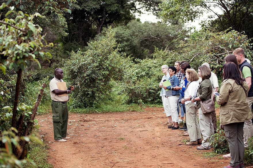 turistů, poslouchat, safari, prohlídka, cestovat, Keňa, Afrika, lidé