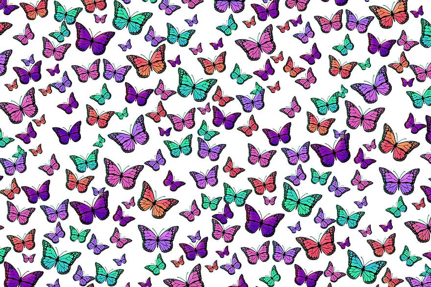 sommerfugle, mønster, baggrund