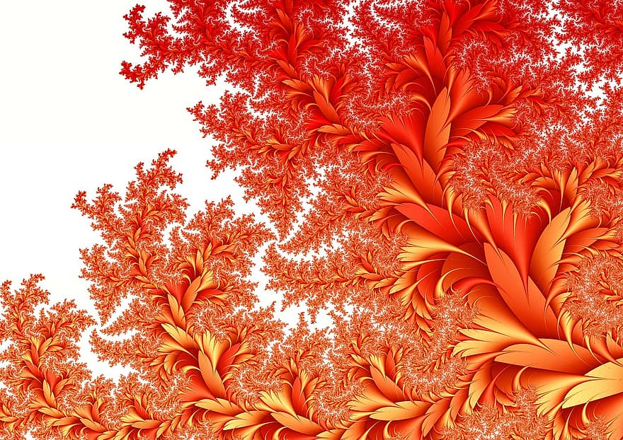 Flora, Flowers, Background, Leaf, Leaves, Greeting Card, Pattern, Texture, Abstract, Fractals, Strudel