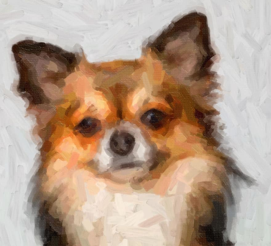 perro, animal, pintura, retrato, Art º, mamífero, canino, mascotas, perrito, linda, perro de raza pura