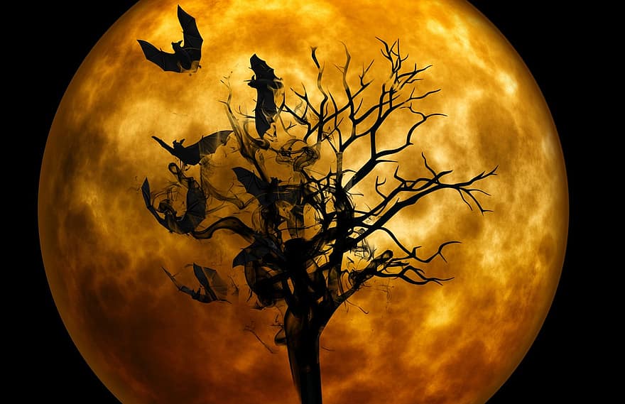 šikšnosparnis, naktis, Creepy, tamsoje, mistinis, niūrus, mėnulio šviesa, baugus, nuotaika, atmosfera, mįslingas