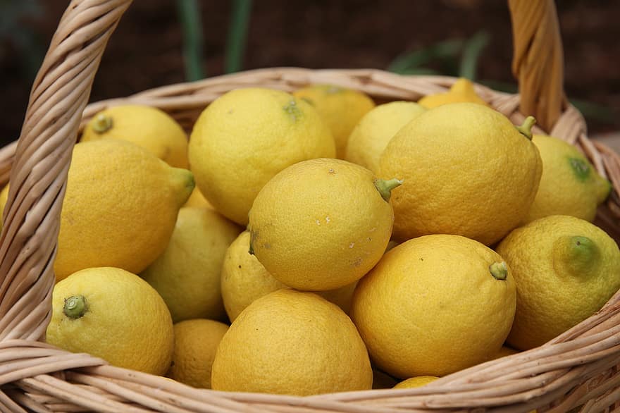 citrom, gyümölcs, citrom- és narancsfélék, organikus, kosár, egészséges, vitaminok, friss