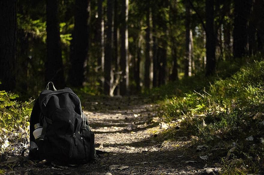 वन, निशान, बैग, प्रकृति, वुड्स, पथ, बैकपैकिंग, लंबी पैदल यात्रा, साहसिक, पुरुषों, पेड़