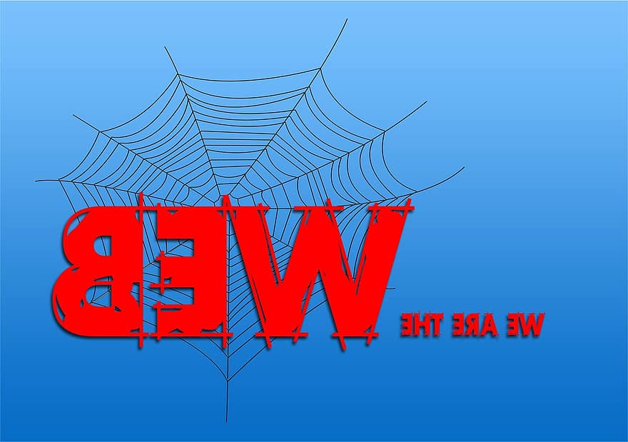 l'Internet, araignée, le web, réseau, lien, symbolisme, www