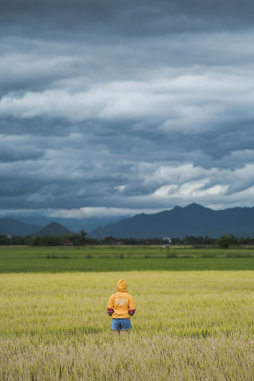 Farming, Vietnam, Overcast, Cloudy Day, Landscape, Sky, farm, rural scene, agriculture, summer, one person