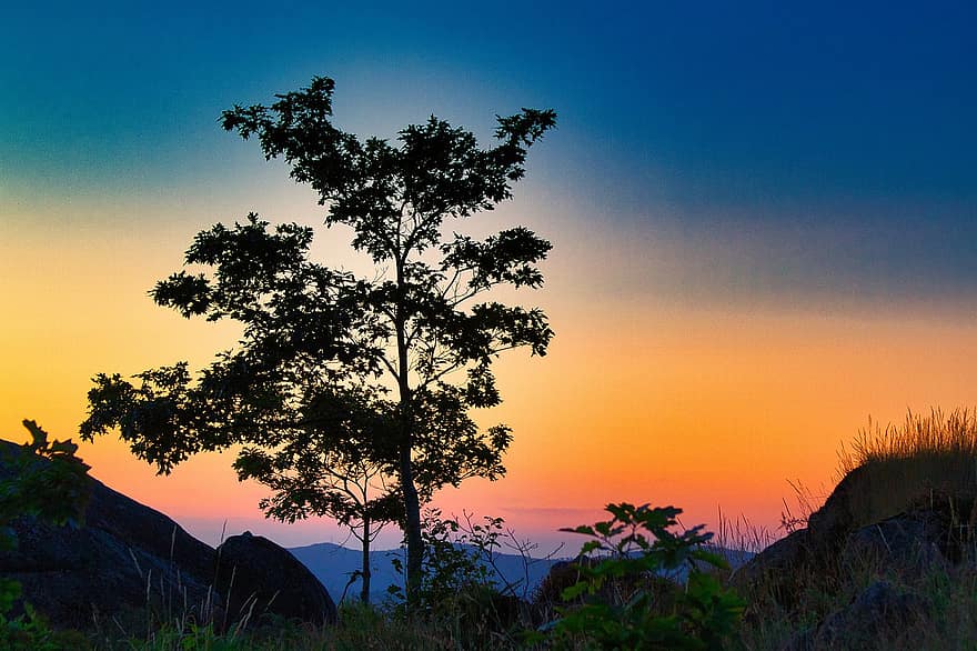 Montagne, arbre, Vila Nova de Cerveira, lever du soleil, le coucher du soleil, silhouette, paysage, la nature, scénique, tourisme, L'Europe 