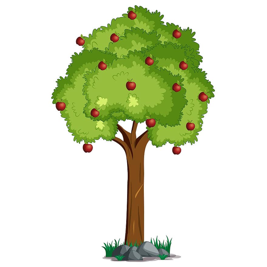 árbol de manzana, árbol