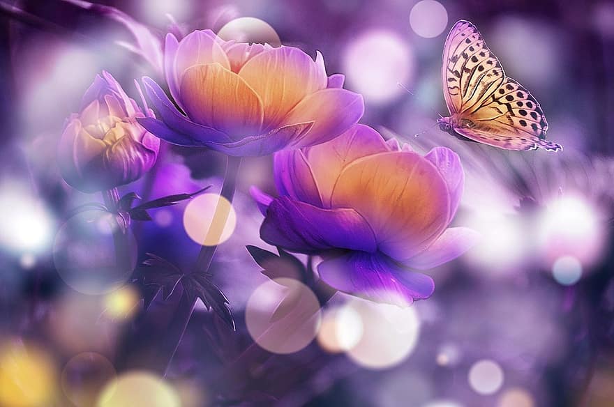 kupu-kupu, Book, bunga-bunga, sihir, halaman, beraneka warna, dengan lembut, anotasi, wallpaper, Wallpaper 4k, wallpaper alam