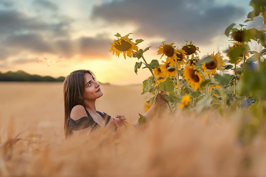 slunečnice, pole, žena, dívka, květiny, flóra, rostlina, žlutý květ, obilné pole