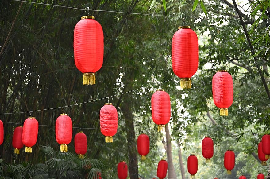 lanterna, festival, decoração, arte, celebração, culturas, lanterna chinesa, festival tradicional, cultura chinesa, equipamento de iluminação, suspensão