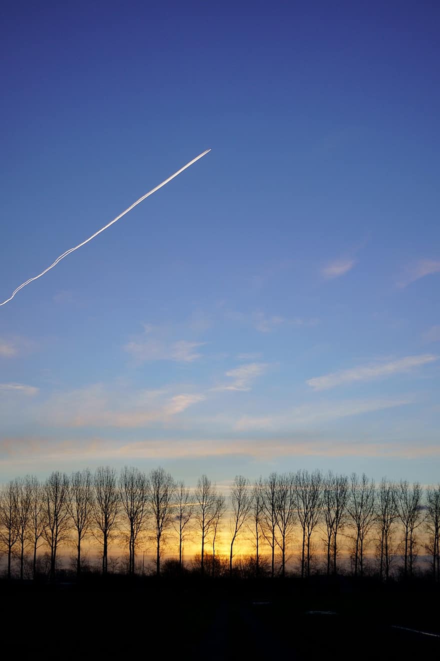 matahari terbenam, langit, pohon, pesawat terbang, contrails, jalur uap, alam, pemandangan, pesawat, suasana, awan
