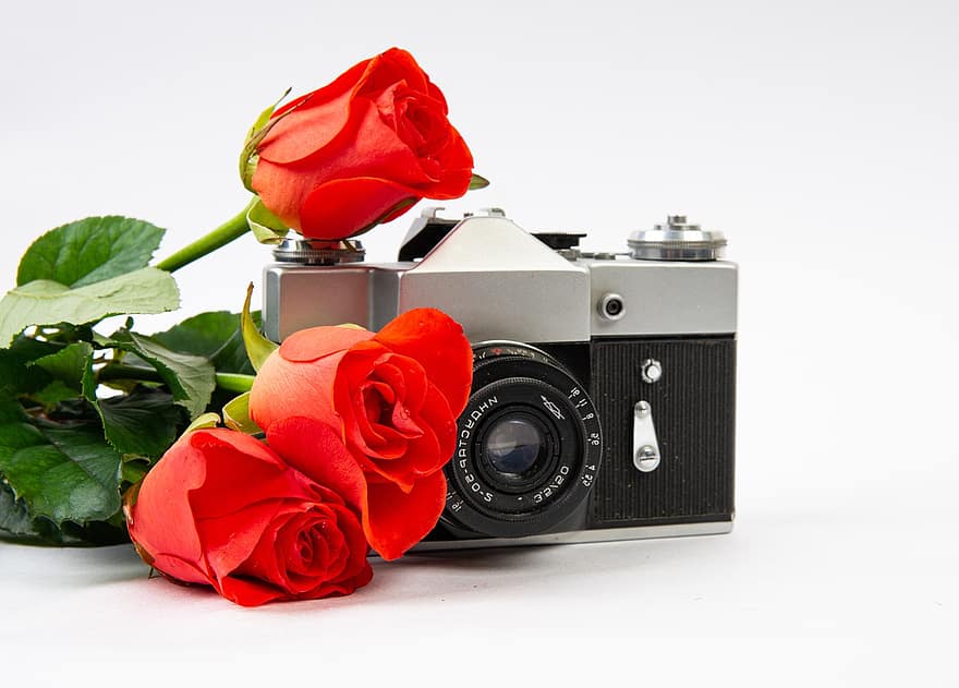 rozes, kameru, pušķis, ziedi, filmu kamera, grafiskais aprīkojums, zieds, objektīvs, optisko instrumentu, tuvplāns, mīlestība