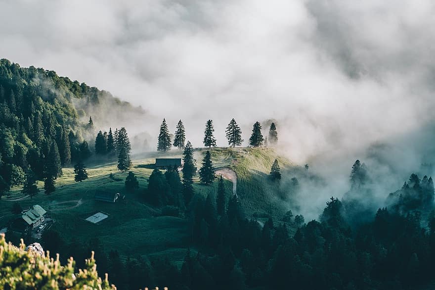 naturaleza, niebla, al aire libre, viaje, exploración, Austria, Alpes, arboles