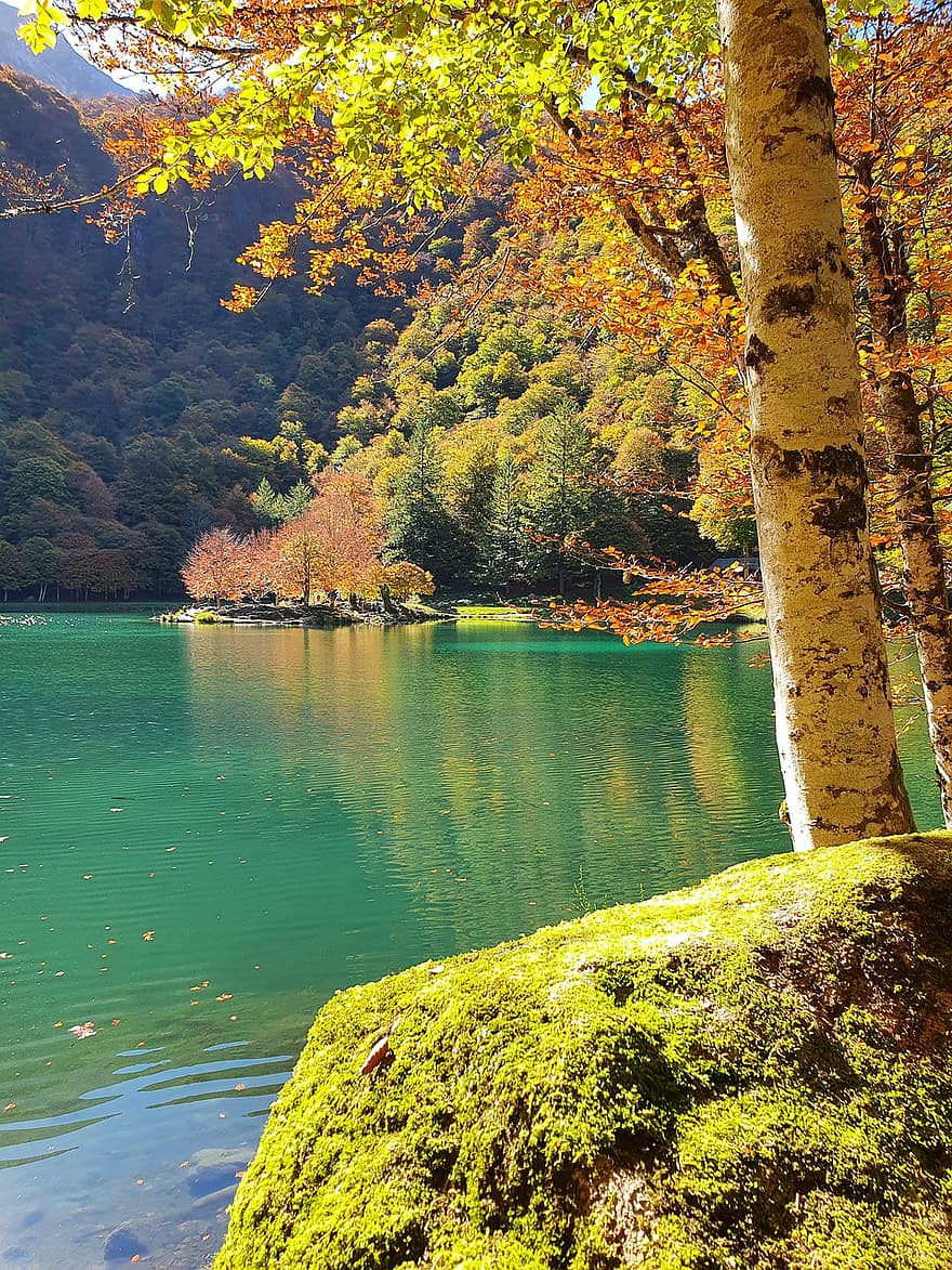 jezero, Příroda, podzim, stromy, les, hora, voda, scénický, Pyreneje, bethmale, strom