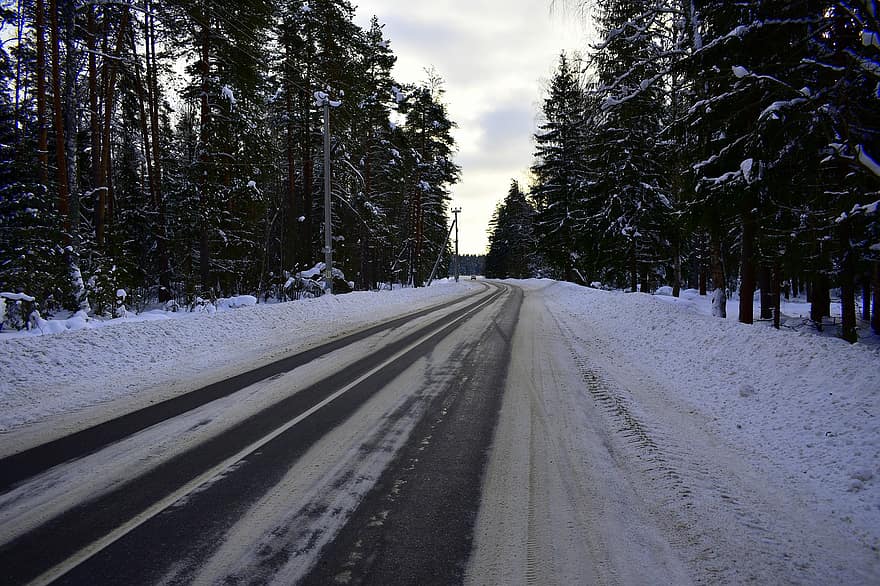 Straße, Winter, Morgen, Schnee, Landschaft, ländlich, Wald, Baum, Jahreszeit, Frost, Reise