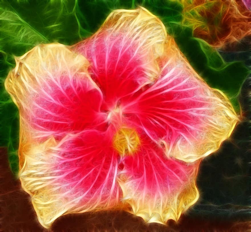 hibiscus, millorat digitalment, Color veritable, floral, planta, natural, flor, florir, pètal, botànic, orgànic