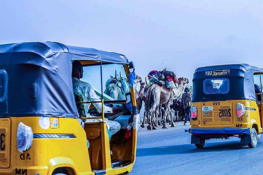 trehjuling, kamel, väg, resa, transport, trafik, fordon, auto rickshaw, nigeria, bil, buss