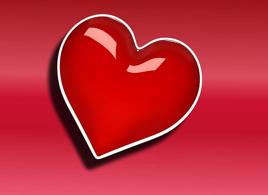corazón, rojo, fondo, día de San Valentín, amor, romance, planta, imagen de fondo, hermoso, enamorado