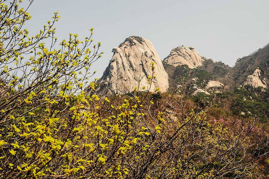 berg-, Bukhansan, Korea, Republiek Korea, seoel, natuur, landschap