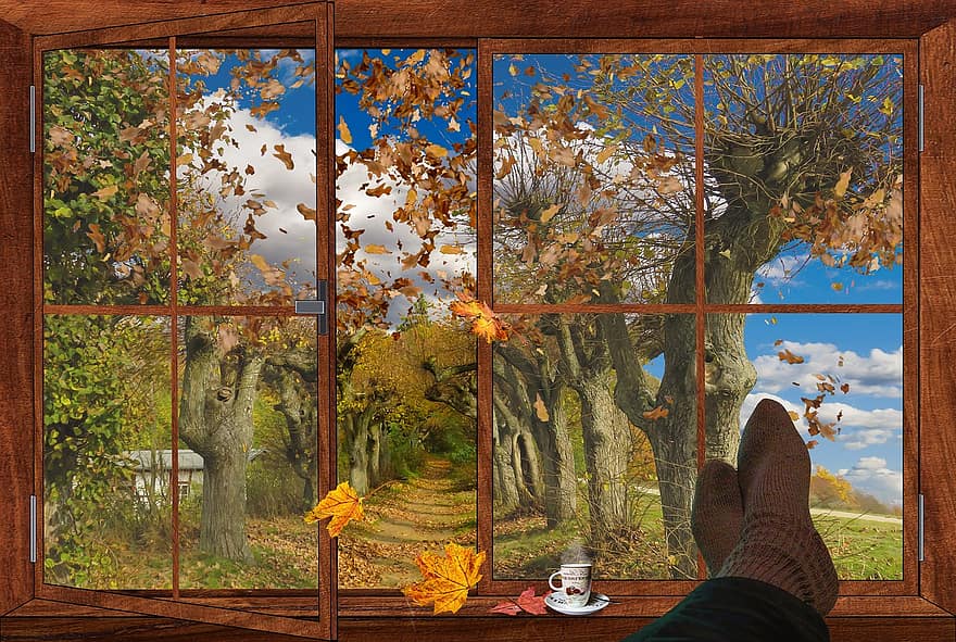 Herbst, Fenster, Herbstlaub, Blätter, Ausblick, sich ausruhen, Entspannung, guten Morgen, Kaffee, Wellness, Rentner