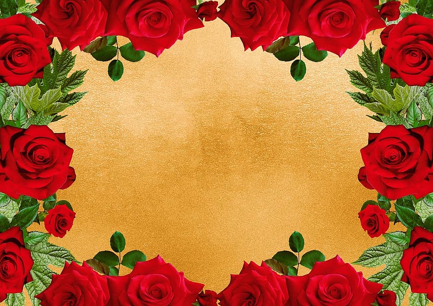 Flowers, Frame, Design, Red Roses, Copy Space, Roses, Floral, Invitation, Modern, Wedding, Map