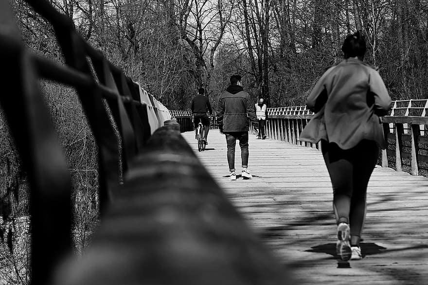 brug, mensen, joggen, zwart en wit, traliewerk, lopen, houten brug, bomen, natuur, fiets, lopend