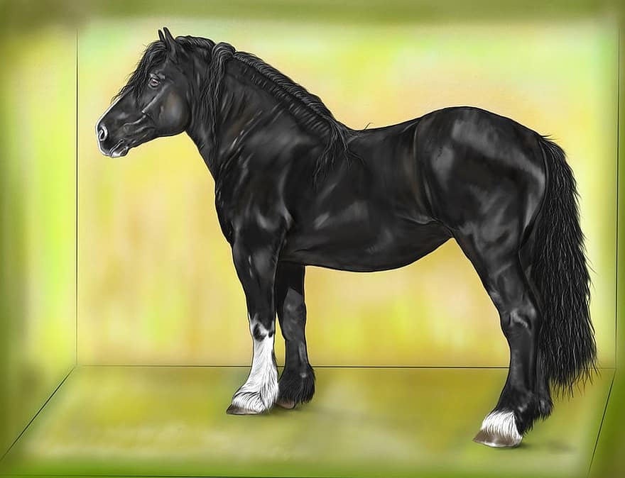 caballo, negro, pintura digital