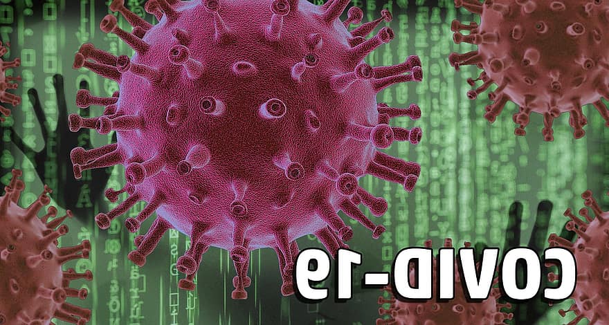 korona, koronavirüs, kovid, kovid-19, virüs, karantina, yaygın, salgın, temizlik, panik, hastalık